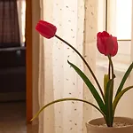 Central Two Bedroom Apartment In Bugibba